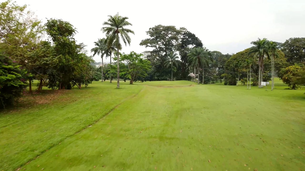 Fairways bordés de géants